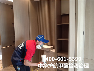 绿植除甲醛靠谱吗400-601-5399壹定发大兴周边学校幼儿园除甲醛